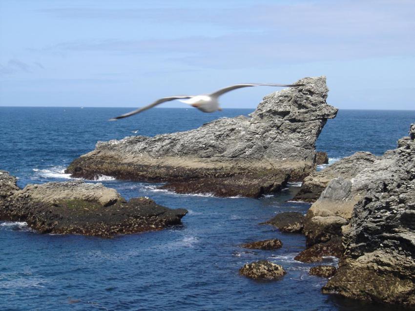 Ty Dreux Entre Terre Et Mer Saint-Thegonnec Loc-Eguiner Exterior photo